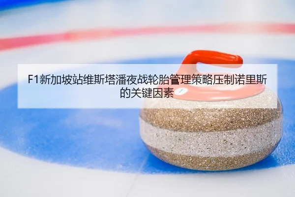 xin-jia-po-zhan-wei-si-ta-pan-ye-zhan-lun-tai-guan-li-ce-lve-ya-zhi-nuo-li-si-de-guan-jian-yin-su-2-592.jpg