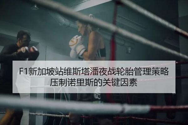 F1新加坡站维斯塔潘夜战轮胎管理策略压制诺里斯的关键因素